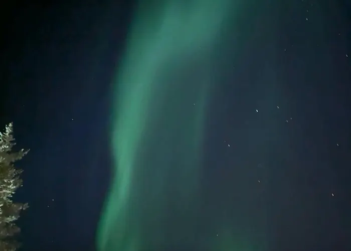 Aurora Center By Aavalevi